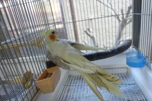 お迎え時に確認したい住環境