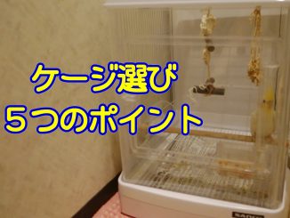 ケージ選びのポイント