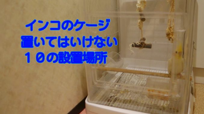 インコのケージ置いてはいけない場所まとめ インコのケージ置いてはいけない場所まとめ