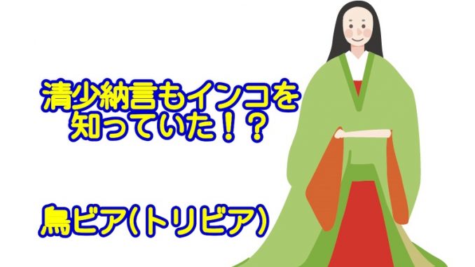 清少納言もインコを知っていた? 清少納言もインコを知っていた_鳥ビア