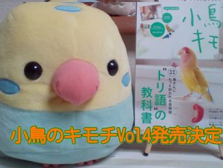 『小鳥のキモチ』第4号(Vol4)の発売決定