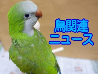 news_quaker