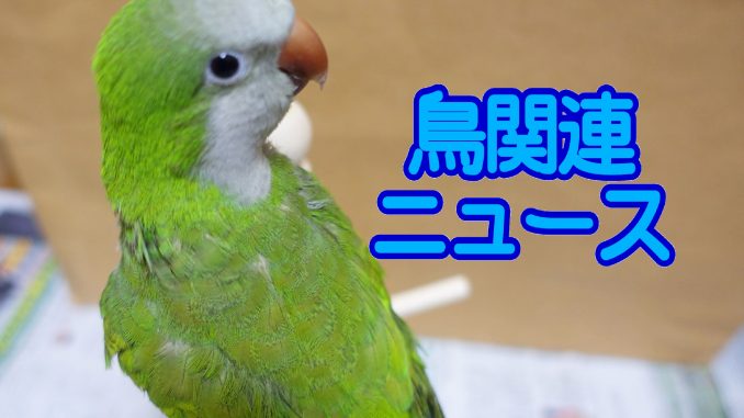 news_quaker