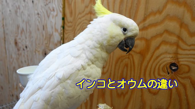 20161006_001