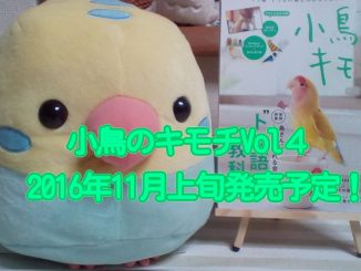小鳥のキモチ4号(Vol4)発売日決定