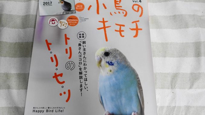 小鳥のキモチVol4 小鳥のキモチVol4