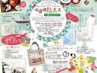 心斎橋鳥フェス
