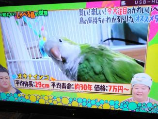 20161207_001