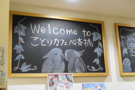 Welcome to ことりカフェ心斎橋 Welcome to ことりカフェ心斎橋