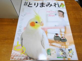 20161231_inko_001