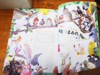 20161231_inko_002