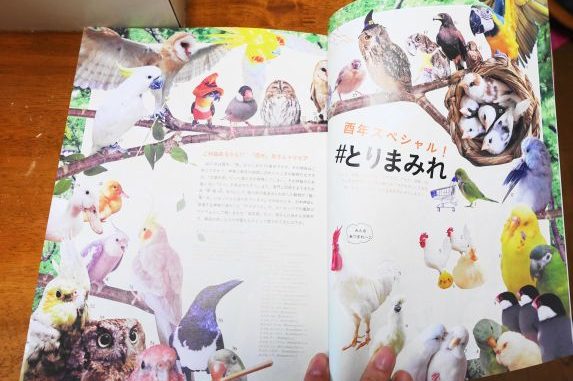20161231_inko_002
