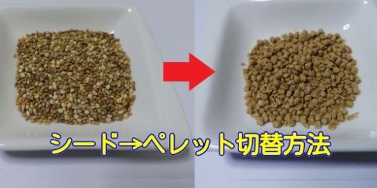 シードからペレットへの切り替え方法 シードからペレットへの切り替え方法