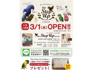 The Step up Osaka(えとぴりか)のチラシ
