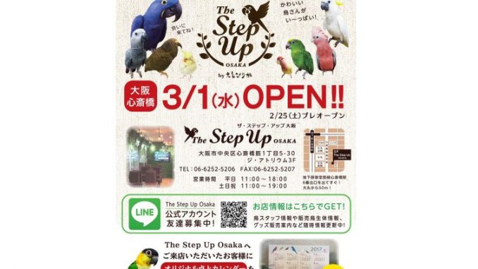 The Step up Osaka(えとぴりか)のチラシ The Step up Osaka(えとぴりか)のチラシ