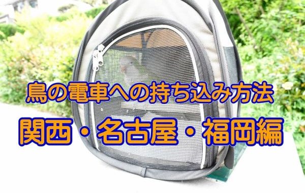 鳥の電車・鉄道への持ち込み方法(関西・名古屋・福岡編) 鳥の電車・鉄道への持ち込み方法(関西・名古屋・福岡編)