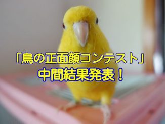 20170403_inko_001