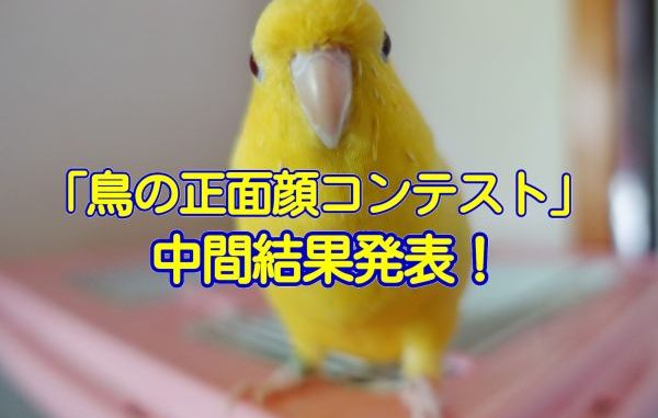 20170403_inko_001