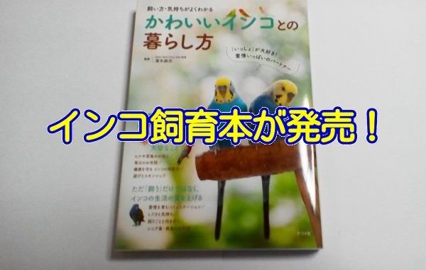 インコ飼育本「かわいいインコとの暮らし方」が2017年5月8日に発売 インコ飼育本「かわいいインコとの暮らし方」が2017年5月8日に発売