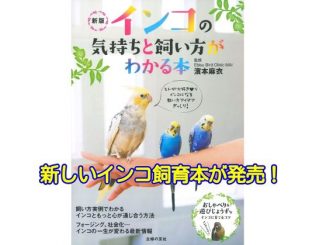 インコの気持ちと飼い方がわかる本の新版が2017年6月9日発売