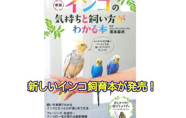 インコの気持ちと飼い方がわかる本の新版が2017年6月9日発売 インコの気持ちと飼い方がわかる本の新版が2017年6月9日発売