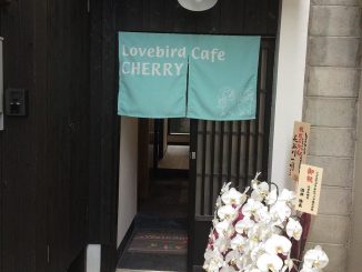 鳥カフェLovebird Cafe CHERRYのお店の外観