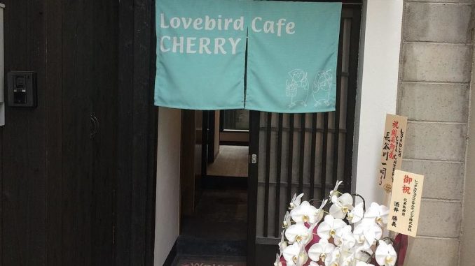 鳥カフェLovebird Cafe CHERRYのお店の外観 鳥カフェLovebird Cafe CHERRYのお店の外観