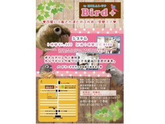 20170615_inko_002