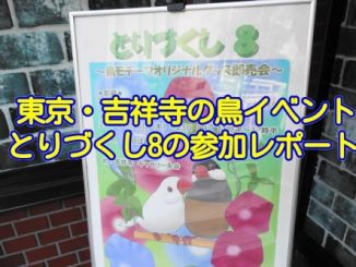 20170714_inko_008