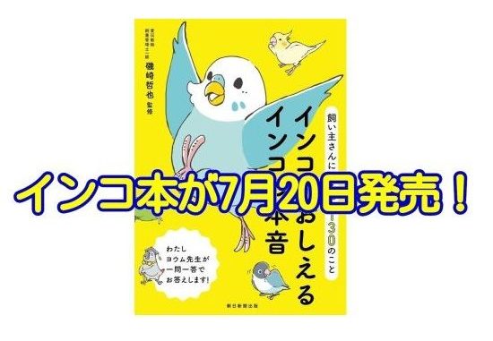 インコがおしえるインコの本音~飼い主さんに伝えたい130のことが2017年7月20日発売! インコがおしえるインコの本音~飼い主さんに伝えたい130のことが2017年7月20日発売!