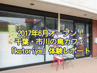 20170719_inko_011_eye