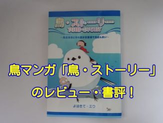 20170902_inko_eye