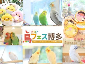 鳥イベント・鳥フェス博多が九州に初上陸!