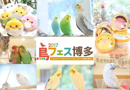鳥イベント・鳥フェス博多が九州に初上陸! 鳥イベント・鳥フェス博多が九州に初上陸!