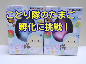 ことり隊のたまごの孵化に挑戦!成功or失敗!やり方