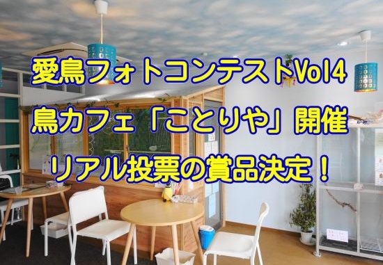 千葉・市川の鳥カフェ「kotoriya」にて愛鳥フォトコンテストのリアル投票イベント開催! 千葉・市川の鳥カフェ「kotoriya」にて愛鳥フォトコンテストのリアル投票イベント開催!
