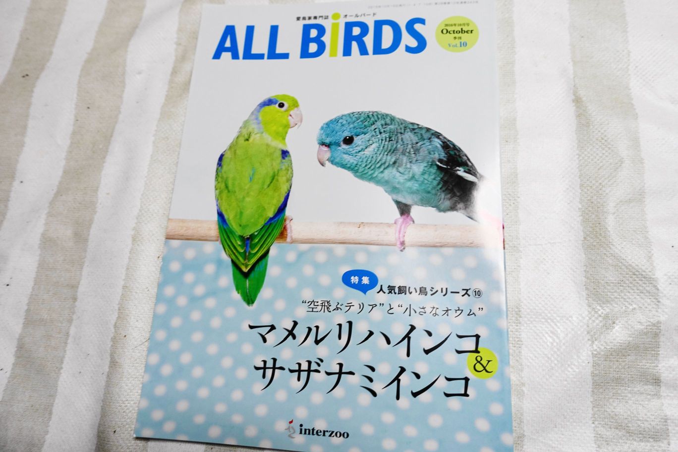 オールバード(ALL BIRDS)2016年10月号