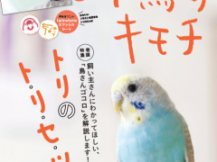 小鳥のキモチVol4表紙