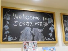 Welcome to ことりカフェ心斎橋