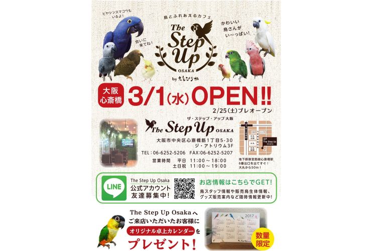 The Step up Osaka(えとぴりか)のチラシ