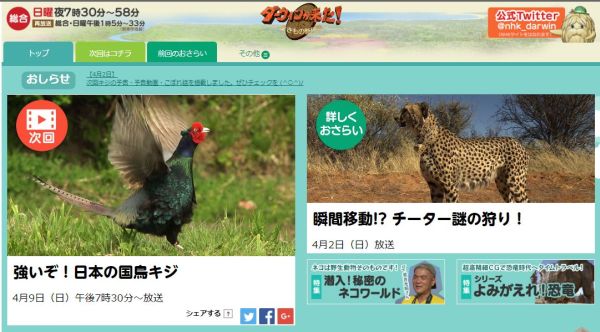 放送後追記 3月15日のダーウィンが来たはシジュウカラ 鳥類屈指の言語能力で都会に進出 インコ生活 飼い方 育て方の総合情報サイト