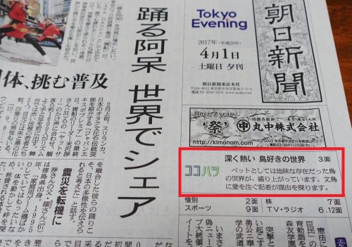朝日新聞・夕刊に鳥フェスを取材した記事が掲載