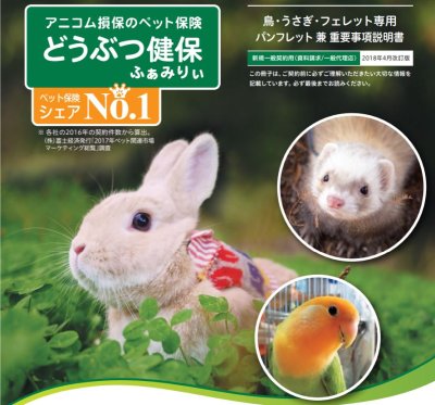 飼い鳥用のペット保険を徹底調査 加入条件や保険費用 保険金の請求方法を解説 19年版 インコ生活 飼い方 育て方の総合情報サイト