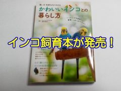インコ飼育本「かわいいインコとの暮らし方」が2017年5月8日に発売