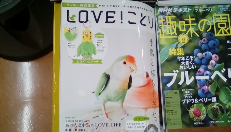 鳥雑誌「LOVE!ことり」が2017年6月26日出版