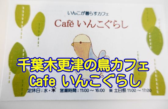 千葉県木更津市の鳥カフェ「Cafeいんこぐらし」