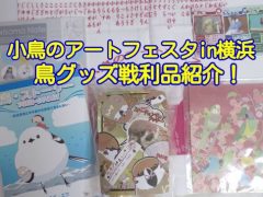 小鳥のアートフェスタin横浜の鳥グッズ戦利品紹介