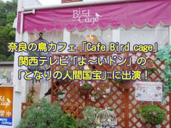 奈良の鳥カフェ「Cafe Bird cage」が関西テレビの「よ～いドン！」の「となりの人間国宝」に登場！