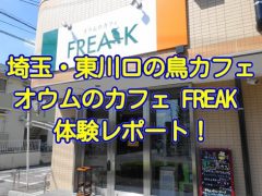 関東の埼玉県・東川口の鳥カフェ「オウムのカフェ FREAK」の体験レポート