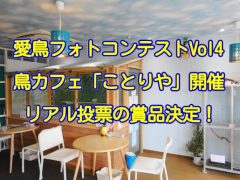 千葉・市川の鳥カフェ「kotoriya」にて愛鳥フォトコンテストのリアル投票イベント開催！